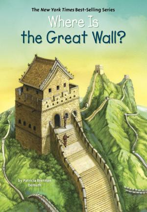 Cover of the book Where Is the Great Wall? by Jennifer Banash