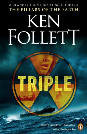 Cover of the book Triple by Christopher J. Smith