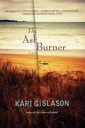 Cover of the book The Ash Burner by Barbara Hanrahan