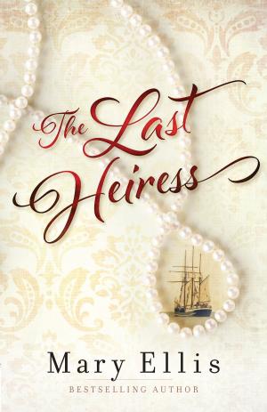 Cover of the book The Last Heiress by Kelly Irvin