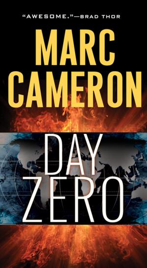 Cover of the book Day Zero by Jack Douglas