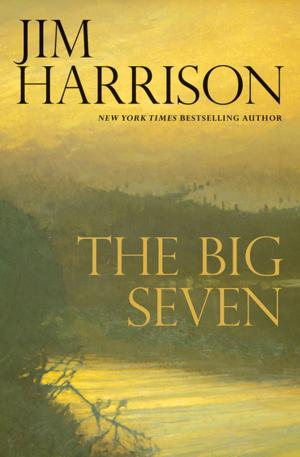 Cover of the book The Big Seven by Lauren Acampora