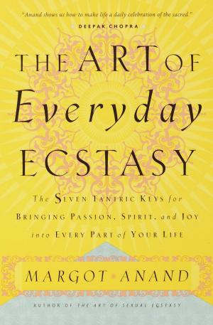 Book cover of The Art of Everyday Ecstasy