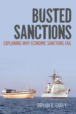 Cover of the book Busted Sanctions by Tabea Alexa Linhard