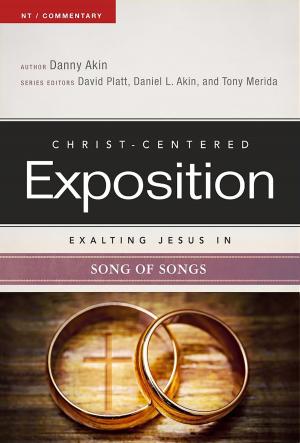 Book cover of Exalting Jesus in Song of Songs