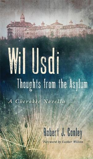 Cover of the book Wil Usdi by Jane Parnell