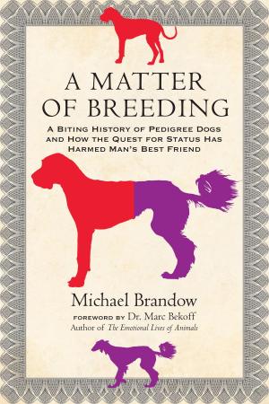 Cover of the book A Matter of Breeding by Margot Adler