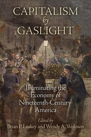 Cover of the book Capitalism by Gaslight by George Cotkin