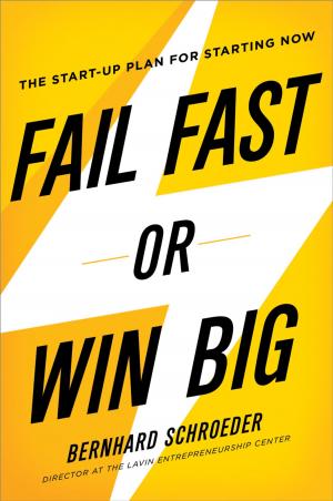 Cover of the book Fail Fast or Win Big by Yasmin Davidds, Ann Bidou