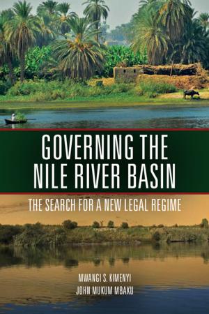 Cover of the book Governing the Nile River Basin by David Roodman
