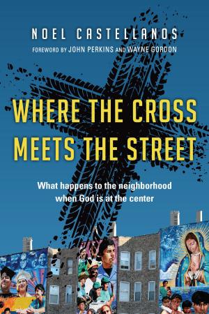 Book cover of Where the Cross Meets the Street