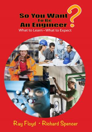 Cover of the book So You Want To Be An Engineer by Diarmaid Murphy