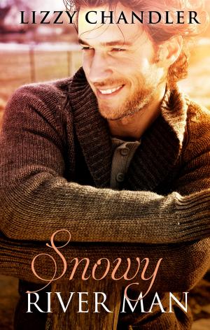 Cover of the book Snowy River Man by Lisa Ireland