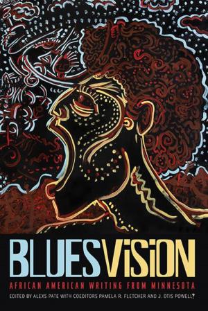 Cover of the book Blues Vision by Steve Lake