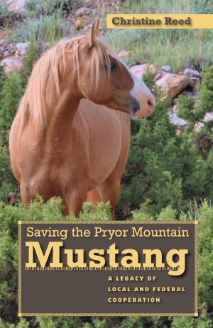 Cover of the book Saving the Pryor Mountain Mustang by Patricia D. Cafferata