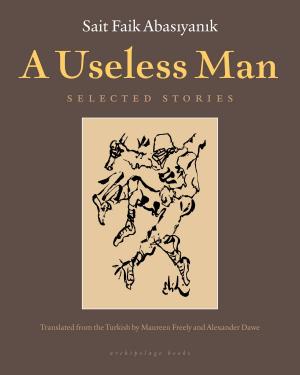 Cover of the book A Useless Man by Witold Gombrowicz