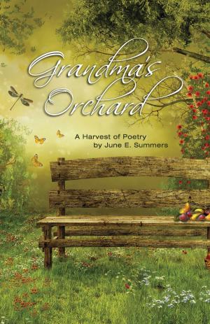 Book cover of Grandma's Orchard