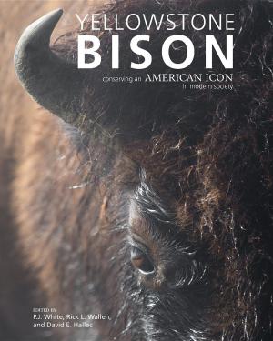 Cover of the book Yellowstone Bison by Christine Jaeggi