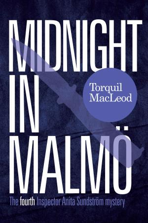 Cover of the book Midnight In Malmö by Stacy Verdick Case