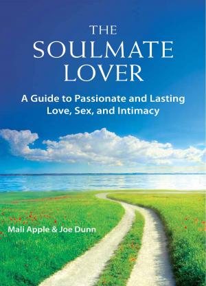 Cover of the book The Soulmate Lover by Christina Hollis