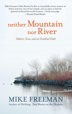 Cover of the book Neither Mountain nor River by Julie Stafford