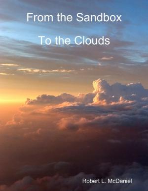 Cover of the book From the Sandbox to the Clouds by Charles Wylie
