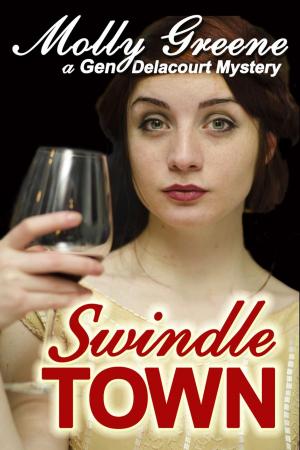 Book cover of Swindle Town