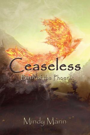 Cover of the book Ceaseless: Birth of the Phoenix by Robin Wyatt Dunn