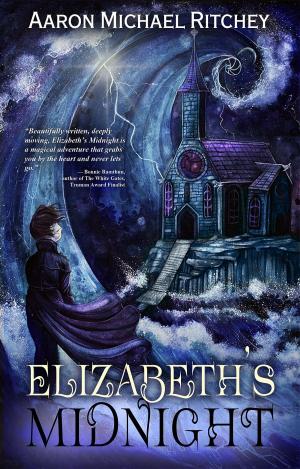 Cover of the book Elizabeth's Midnight by D.M. Wozniak