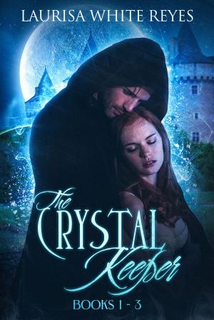 Book cover of The Crystal Keeper, Books 1: 3