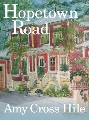 Cover of the book Hopetown Road by Fiona Ingram