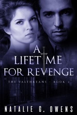 Cover of A Lifetime for Revenge