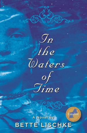 Cover of the book In the Waters of Time by David Di Paolo