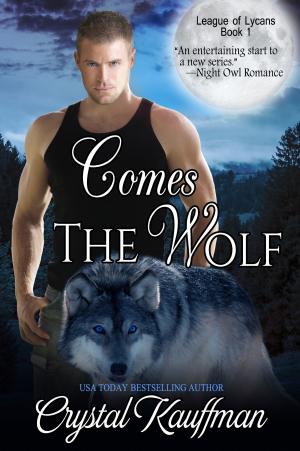 bigCover of the book Comes the Wolf by 
