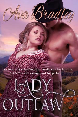 Cover of the book Lady Outlaw by Crystal Kauffman