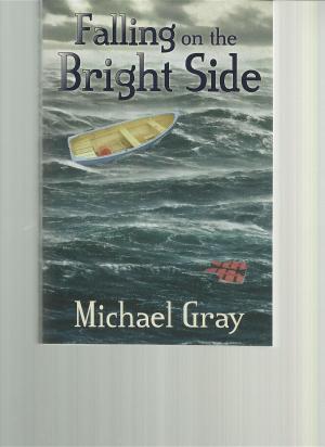 Book cover of Falling on the Bright Side