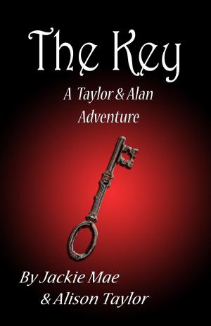 Book cover of The Key A Taylor and Alan Adventure