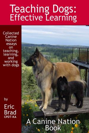 Cover of the book TEACHING DOGS by Beverly Stevens