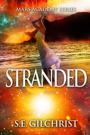 Book cover of Stranded