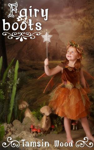 Cover of Fairy Boots