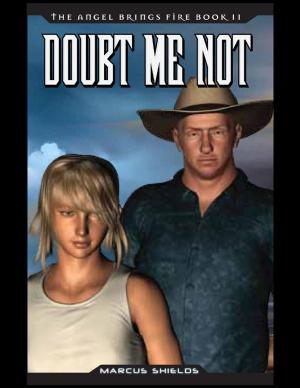 Book cover of The Angel Brings Fire Book 2 : Doubt Me Not