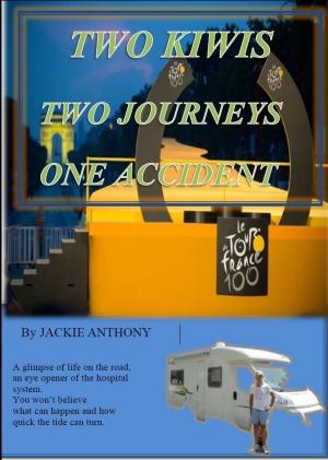 Cover of the book Two Kiwis Two Journeys One Accident by Wolfgang Oppler