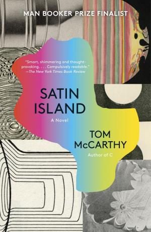 Cover of the book Satin Island by 