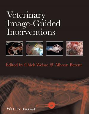 Cover of the book Veterinary Image-Guided Interventions by Soshu Kirihara, Sujanto Widjaja
