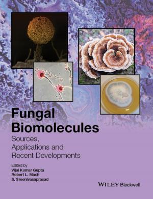 Cover of the book Fungal Biomolecules by Julie M. Hansen