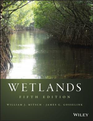 Cover of the book Wetlands by Hans J. Kupka