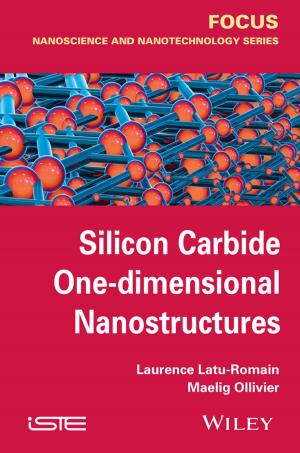 Cover of the book Silicon Carbide One-dimensional Nanostructures by Sarah Pilliner, Zoe Davies