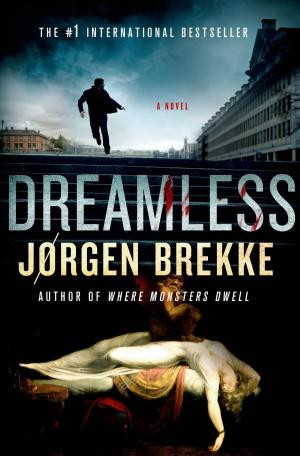 Cover of the book Dreamless by David Duffy