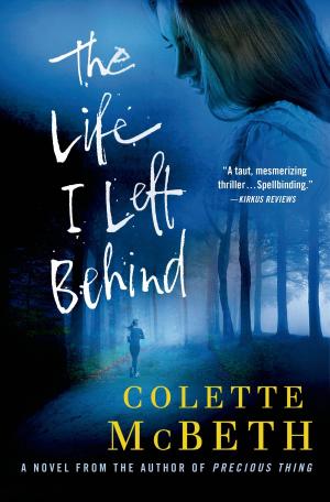 Cover of the book The Life I Left Behind by Diana Diamond