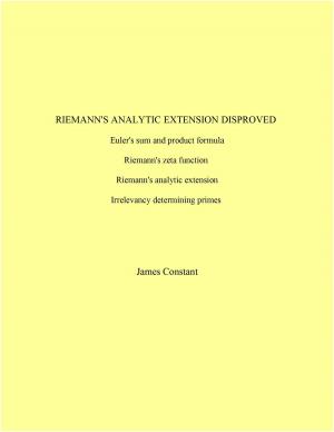 Book cover of Riemann's Analytic Expression Disproved
